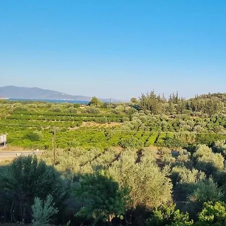 Blue Bay شقة فندقية